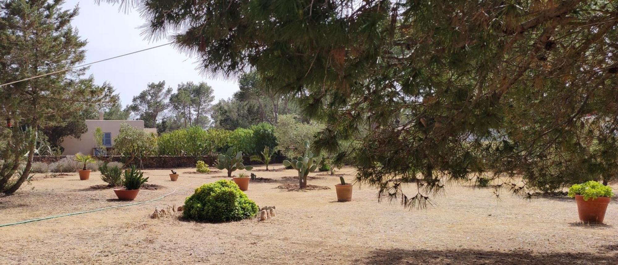 Tranquila Casa Unica En Playa Mitjorn Formentera Holiday home BALEARIC ISLANDS